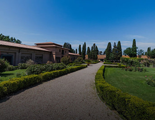 Tenuta San Guido tn