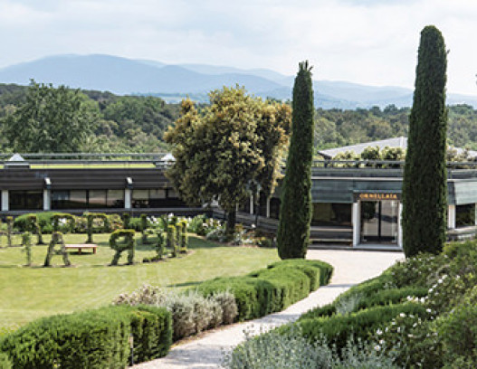 Tenuta dellOrnellaia tn