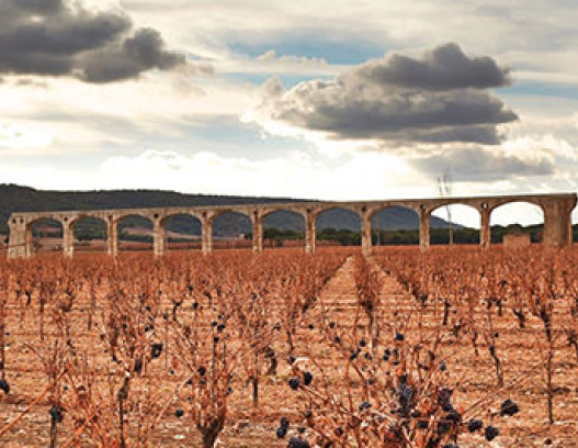 Vega Sicilia Unico tn