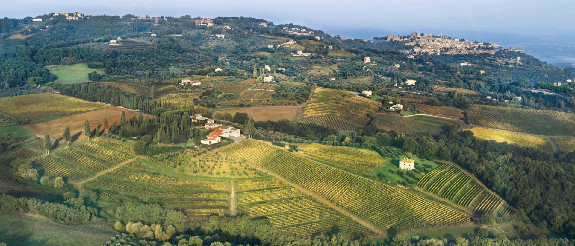 Biondi Santi