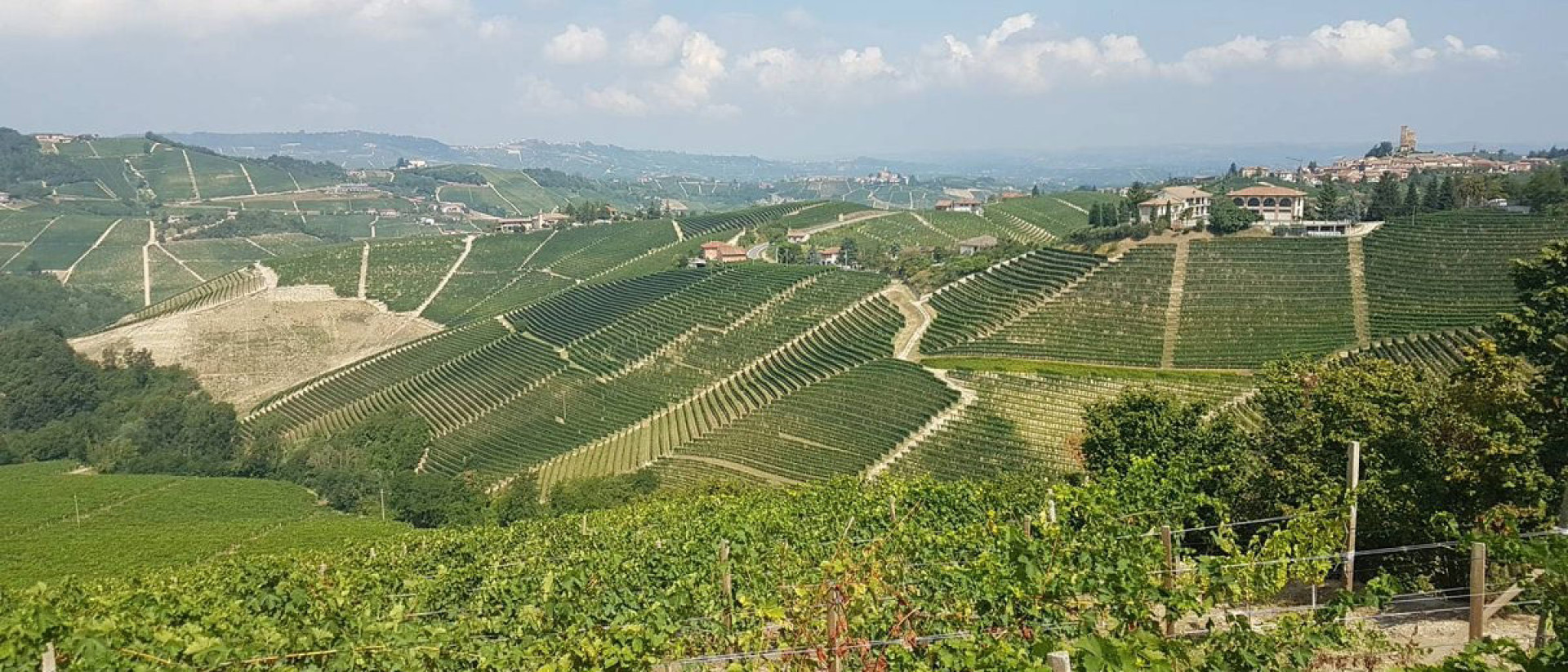 Bruno Giacosa