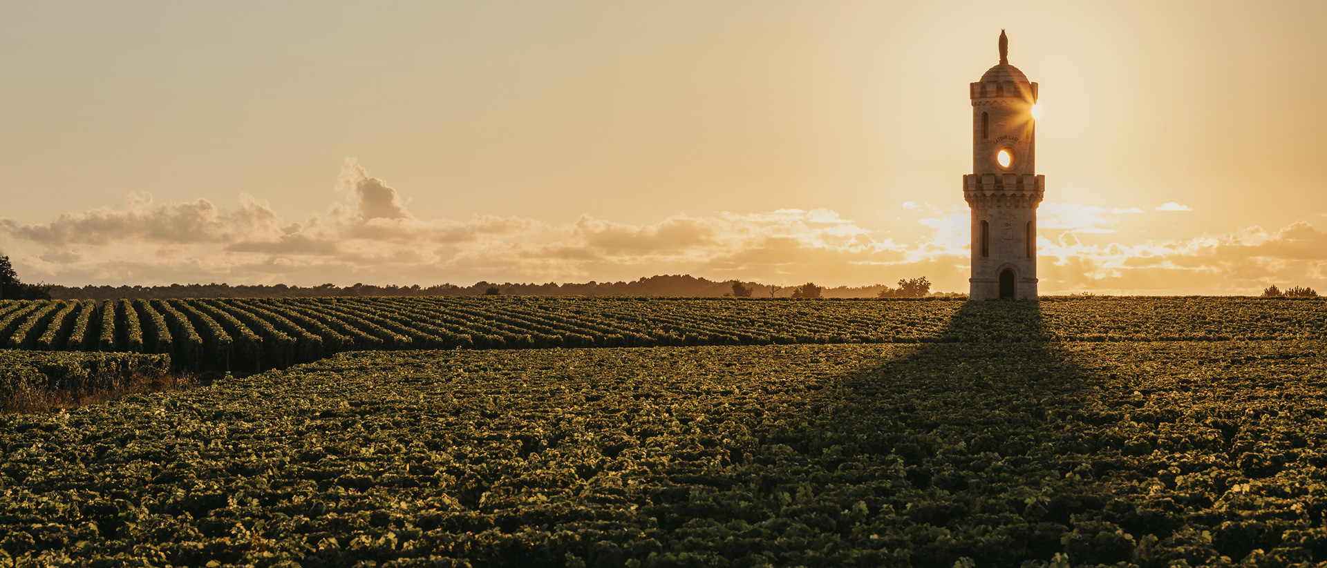 Chateau Haut Batailley