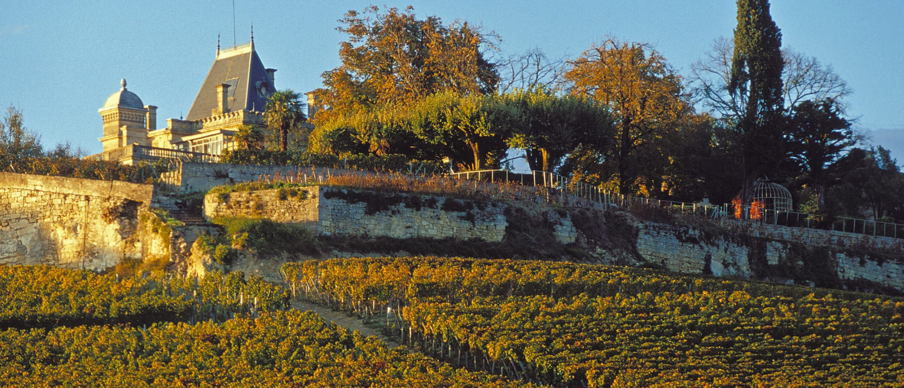 Chateau Ausone | Saint-emilion | Wine Academy | Cult Wines