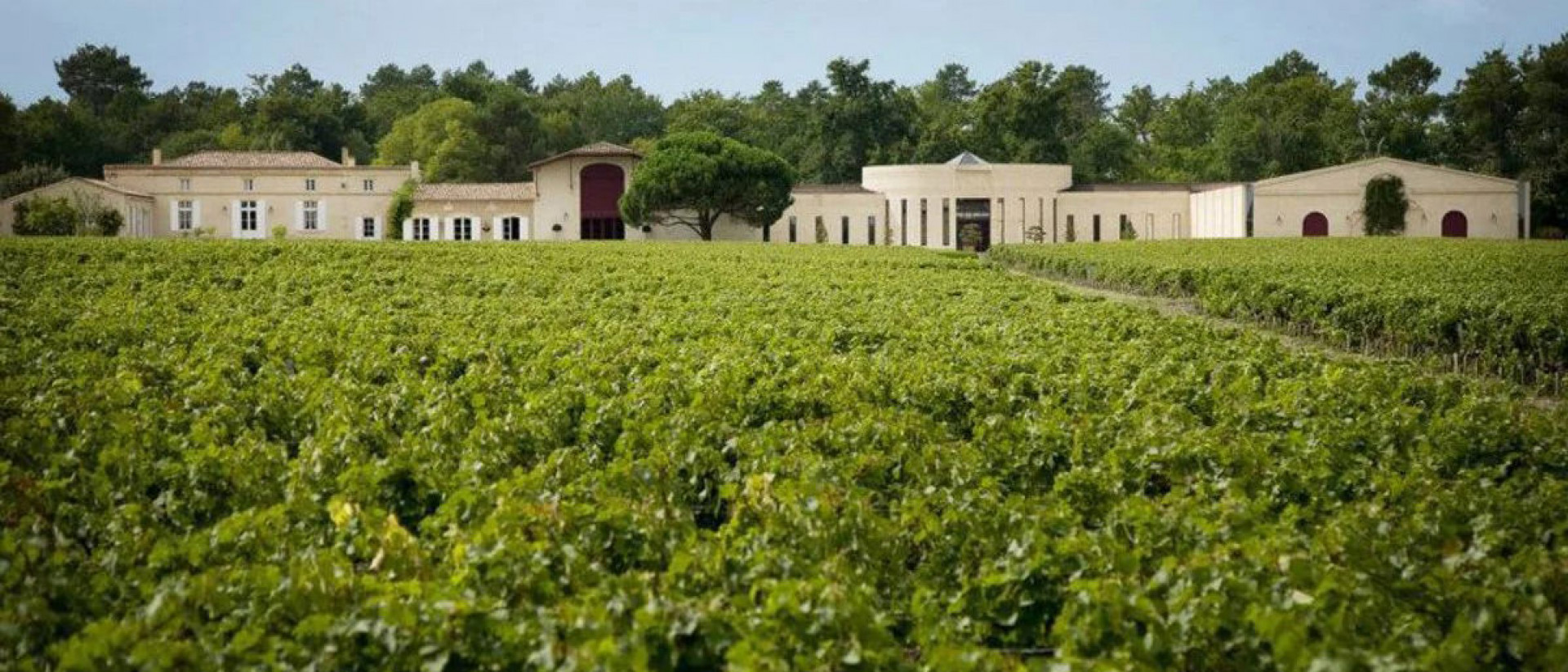 Chateau Domaine de Chevalier