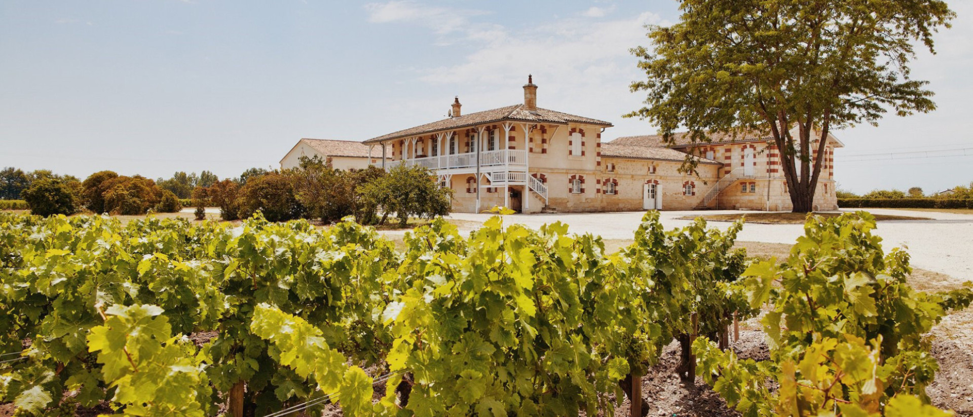 Chateau Haut Batailley