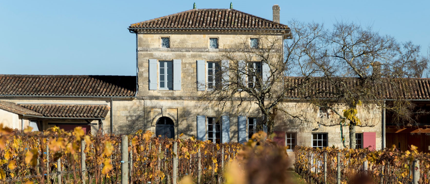 Chateau Lafleur | Pomerol | Wine Academy | Cult Wines United States