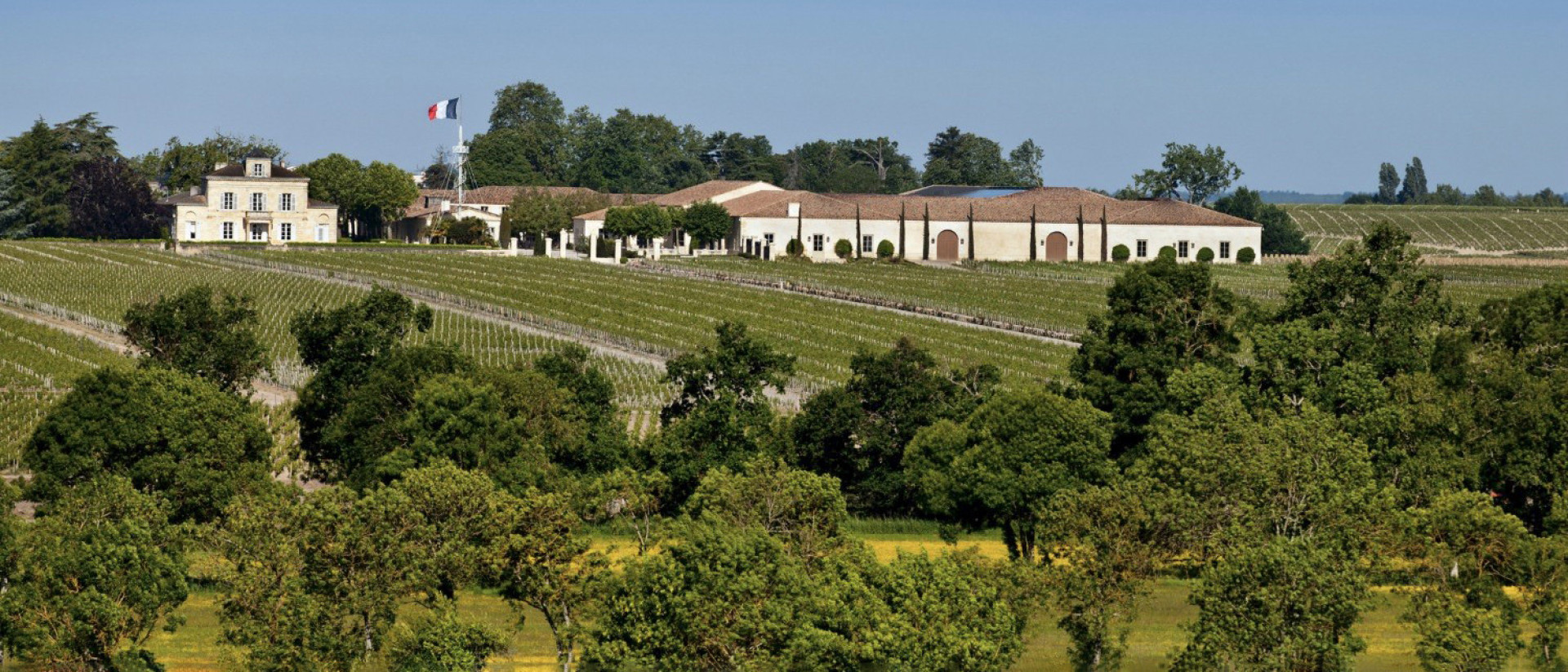 Chateau Montrose | St-Estephe | Wine Academy | Cult Wines
