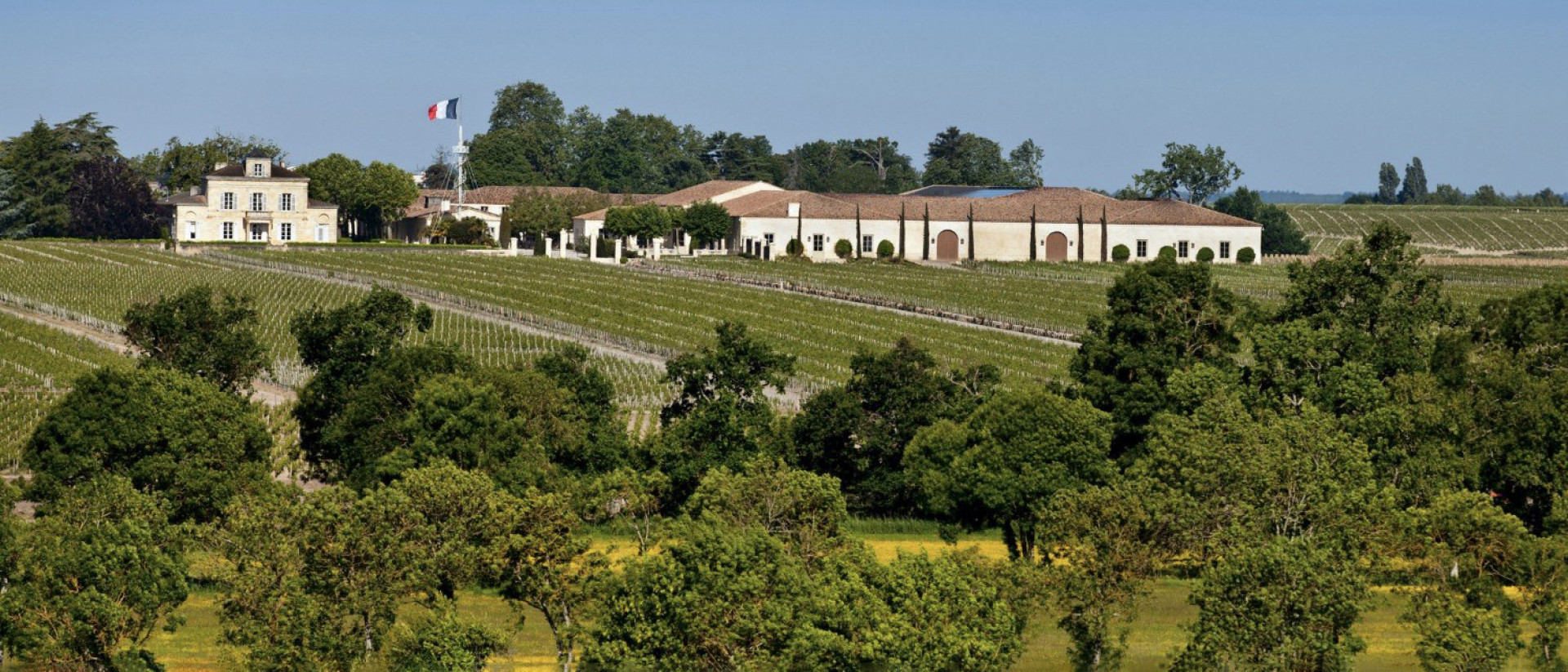 Chateau Montrose