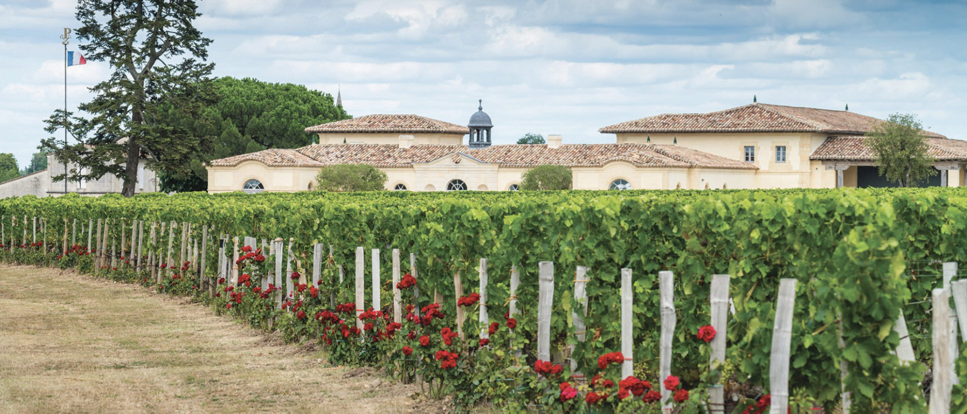 Chateau Petrus