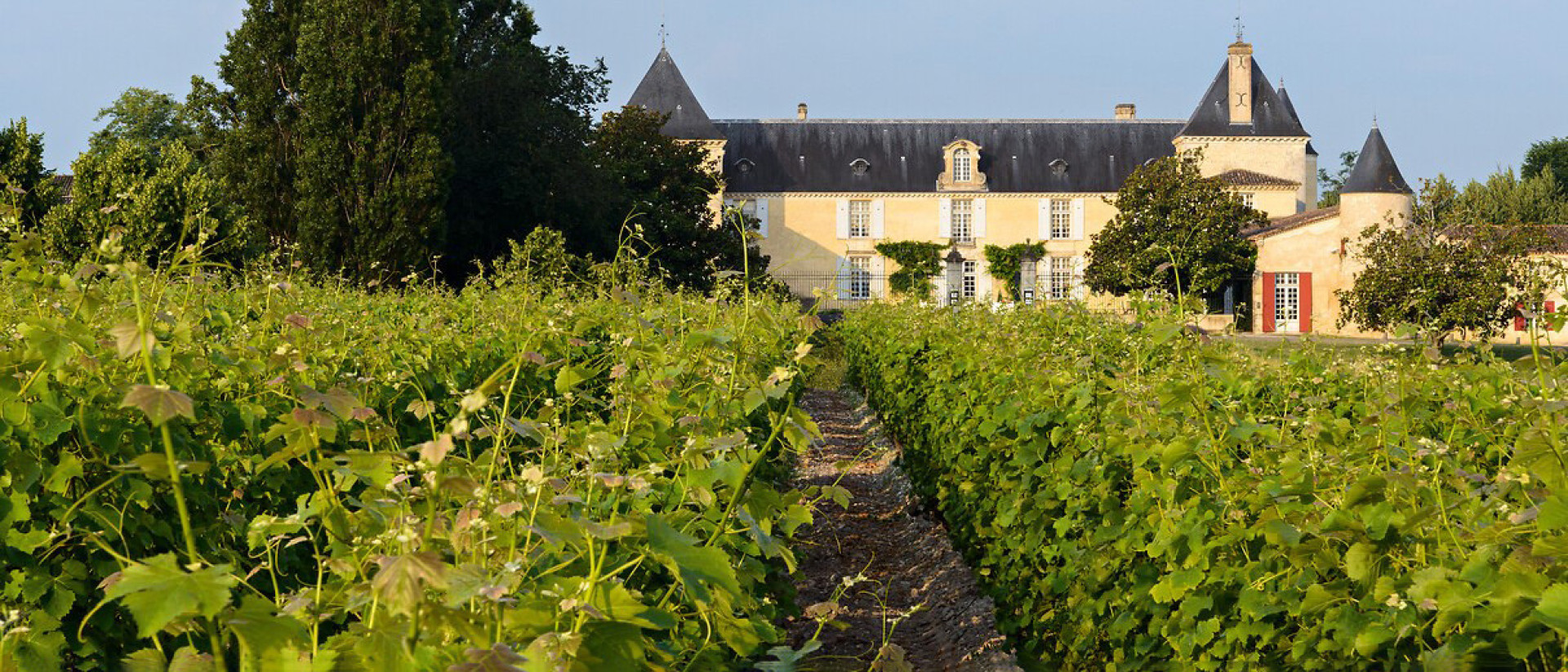 Chateau Suduiraut | Sauternes | Wine Academy | Cult Wines