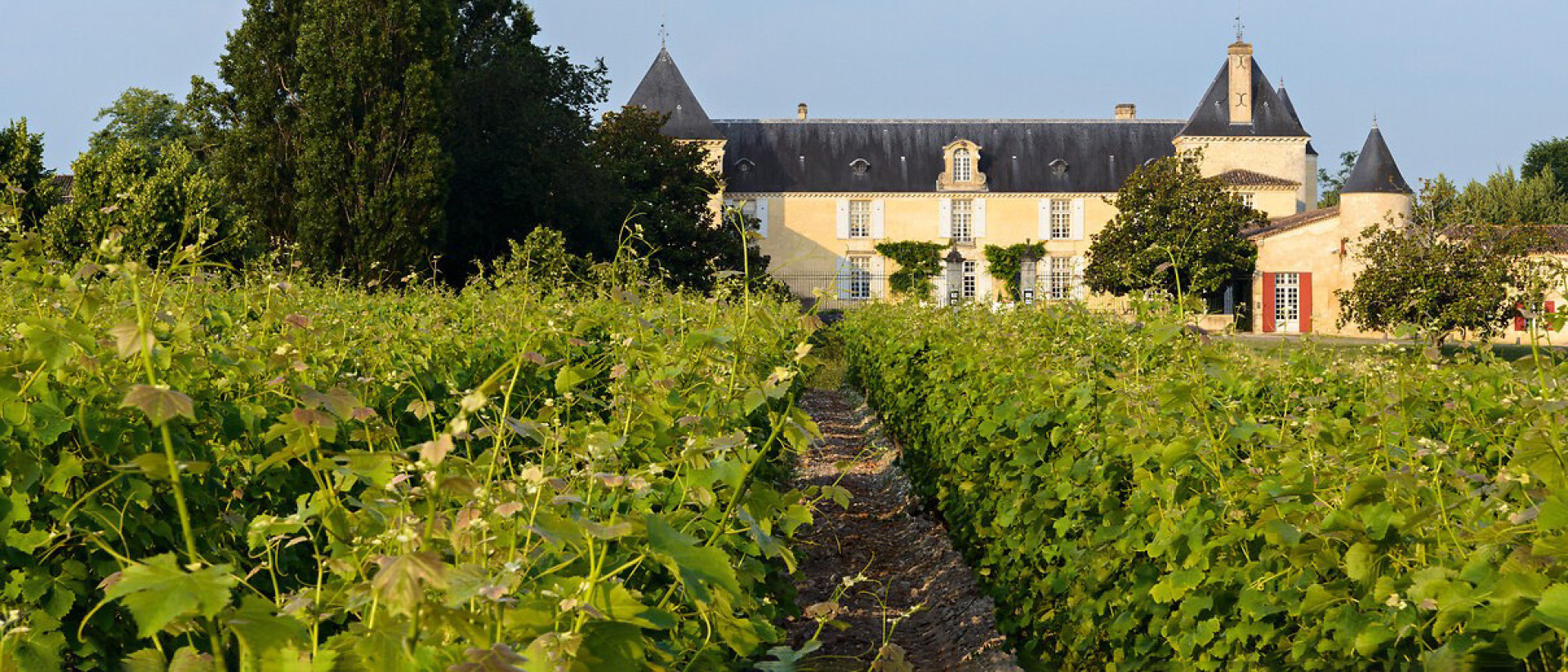 Chateau Suduiraut