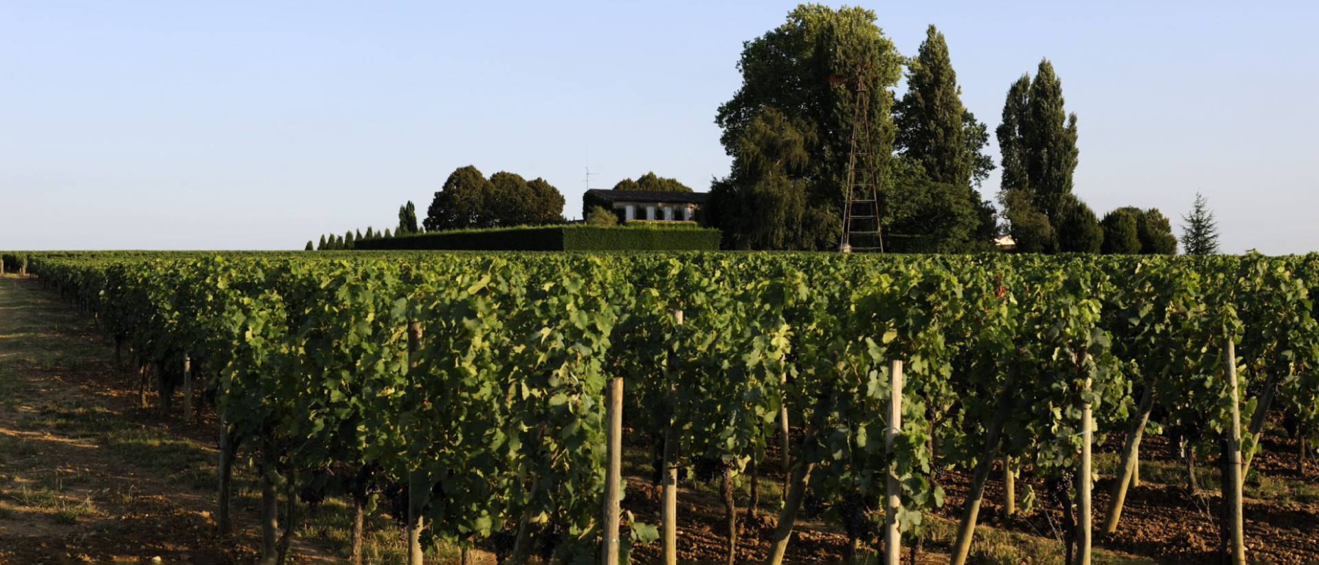 Chateau Trotanoy