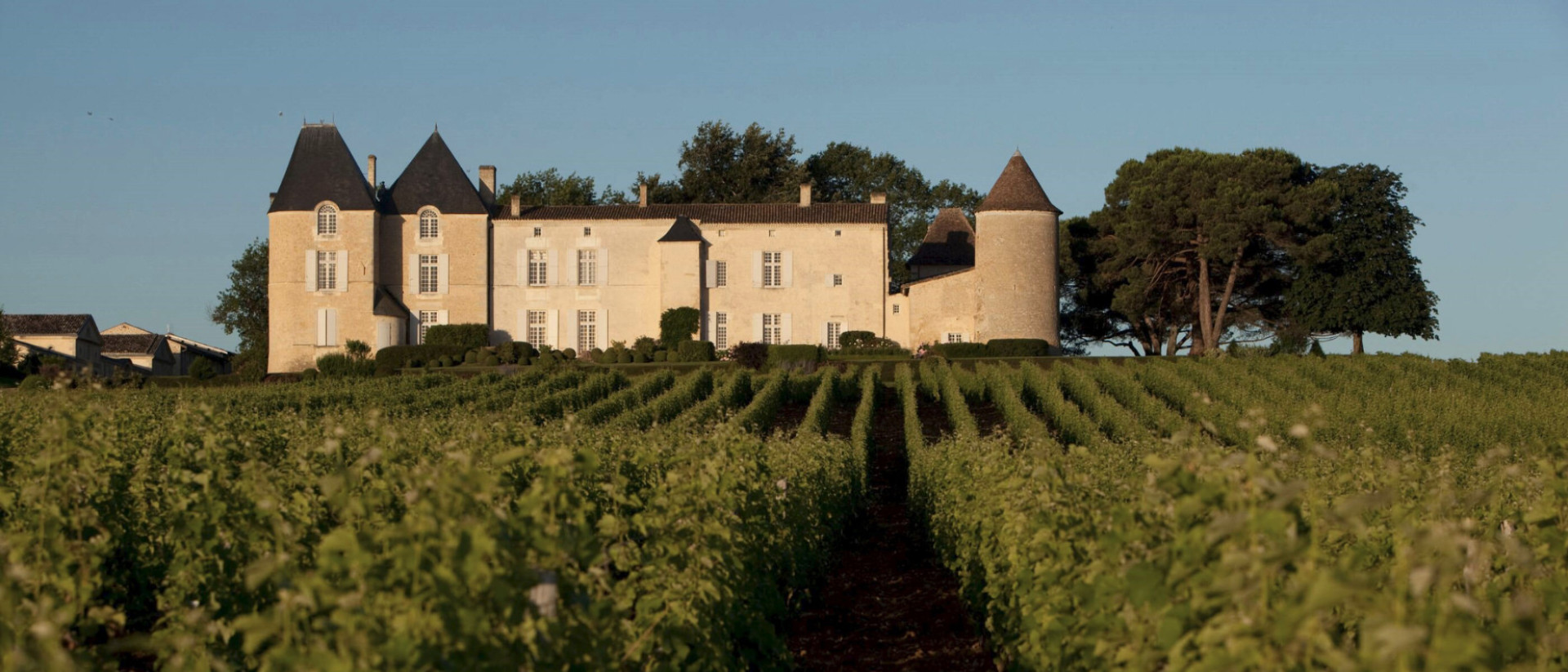 Chateau dYquem