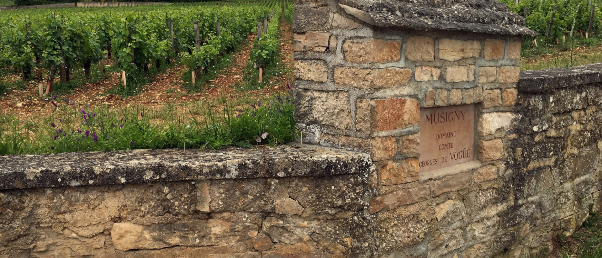 Domaine Comte de Vogue