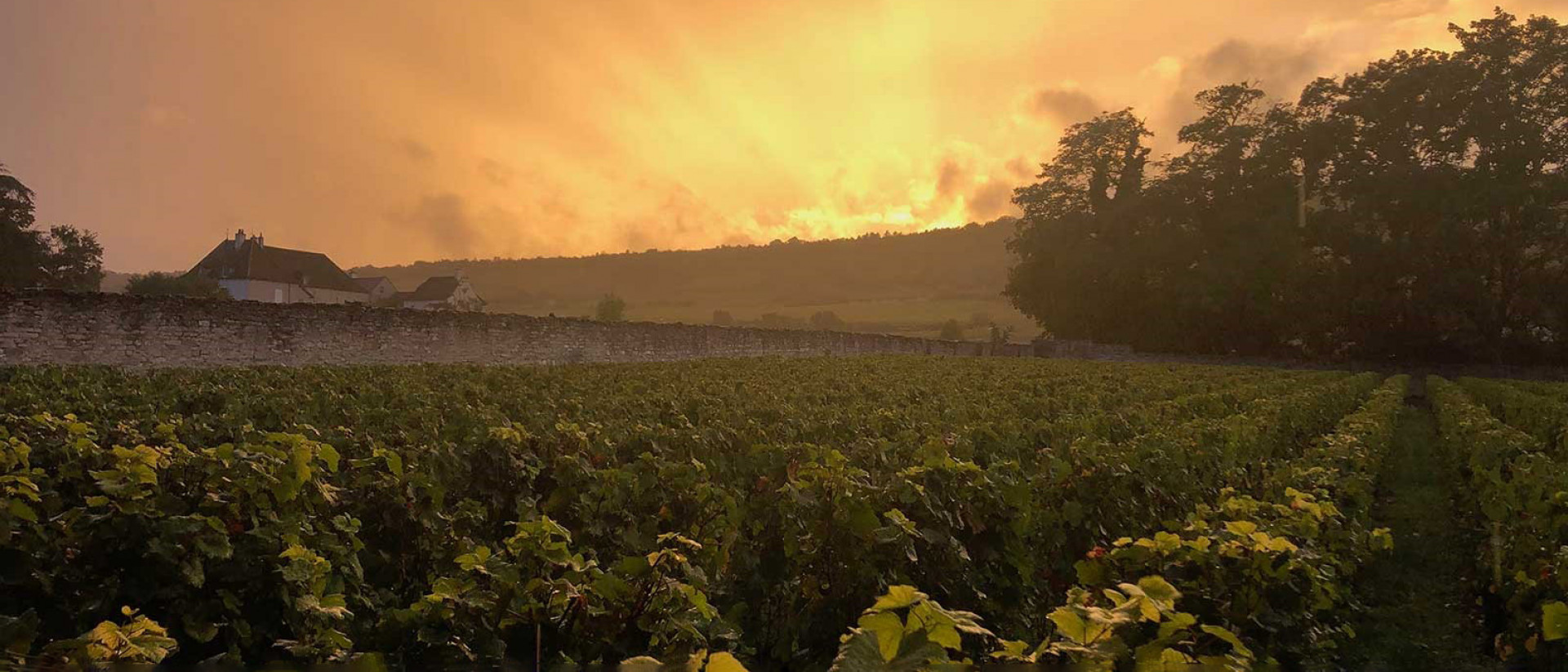 Domaine Dujac