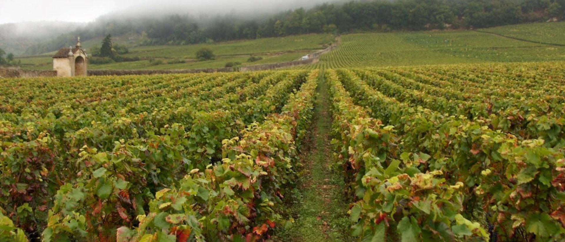 Domaine Fourrier