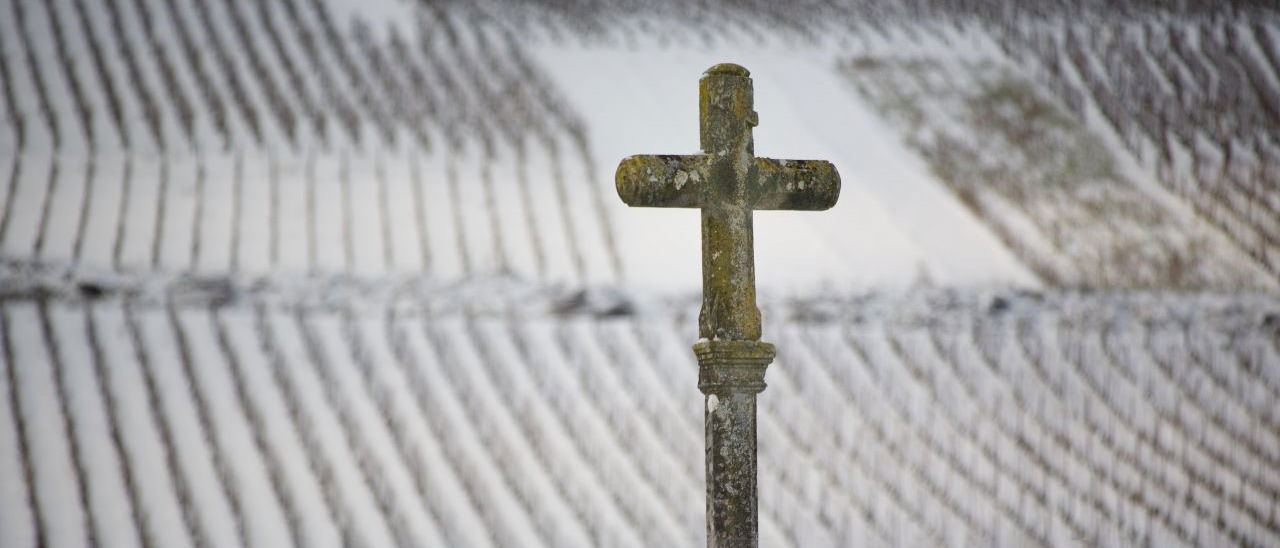 Domaine de la Romanee-Conti | Burgundy | Wine Academy | Cult Wines