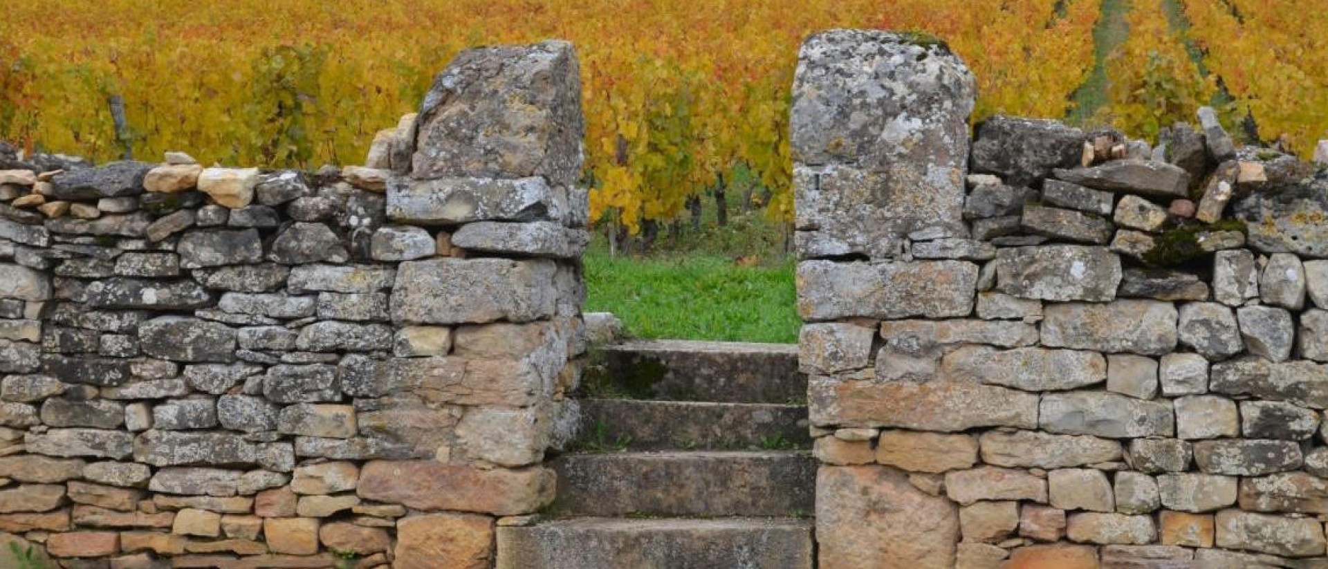 Domaine du Clos Saint Jean