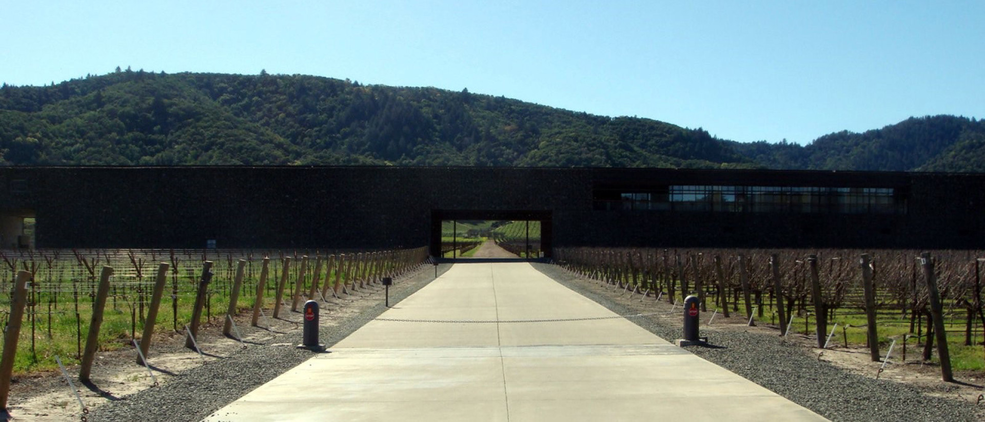 Dominus | Napa Valley | Wine Academy | Cult Wines