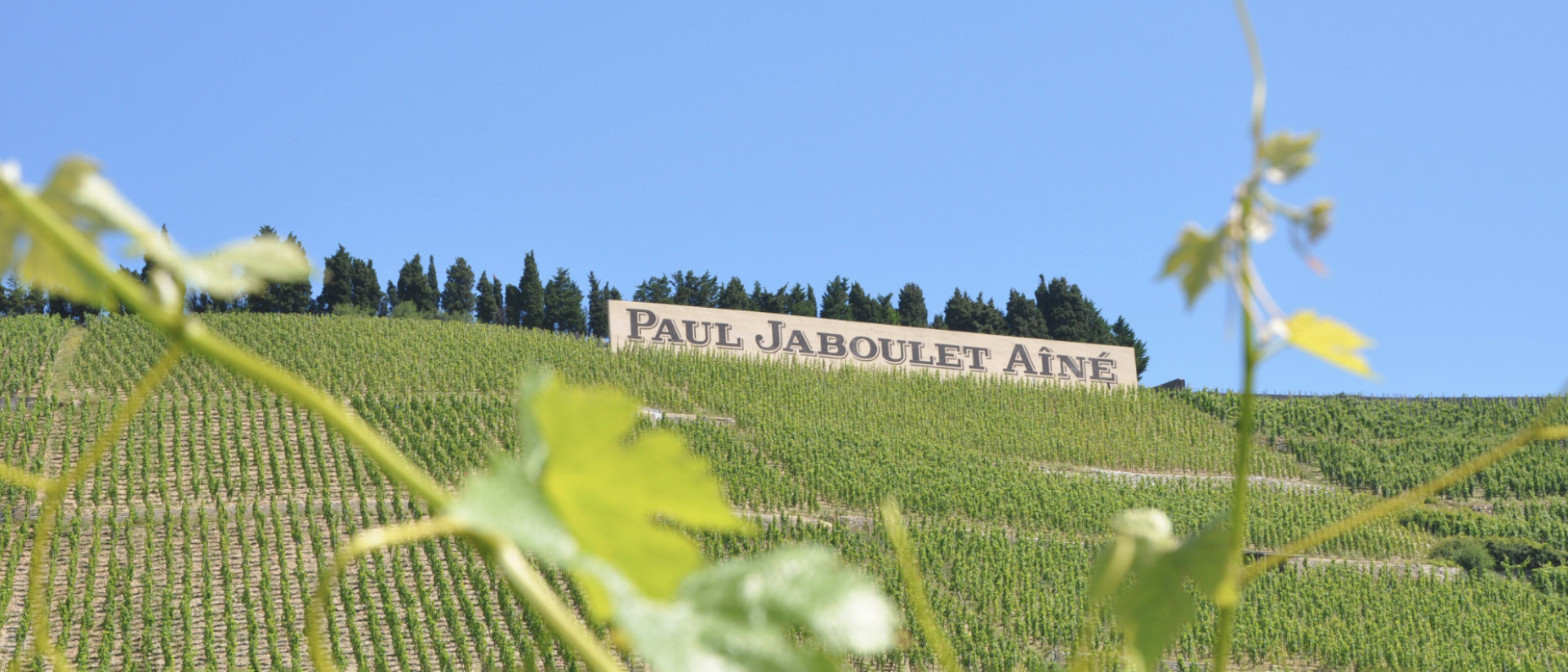 Jaboulet