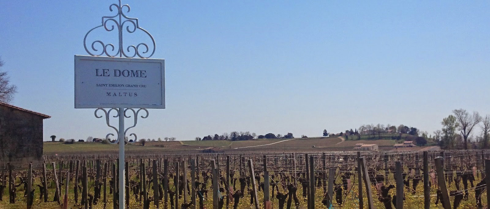 Le Dome | Saint-emilion | Wine Academy | Cult Wines