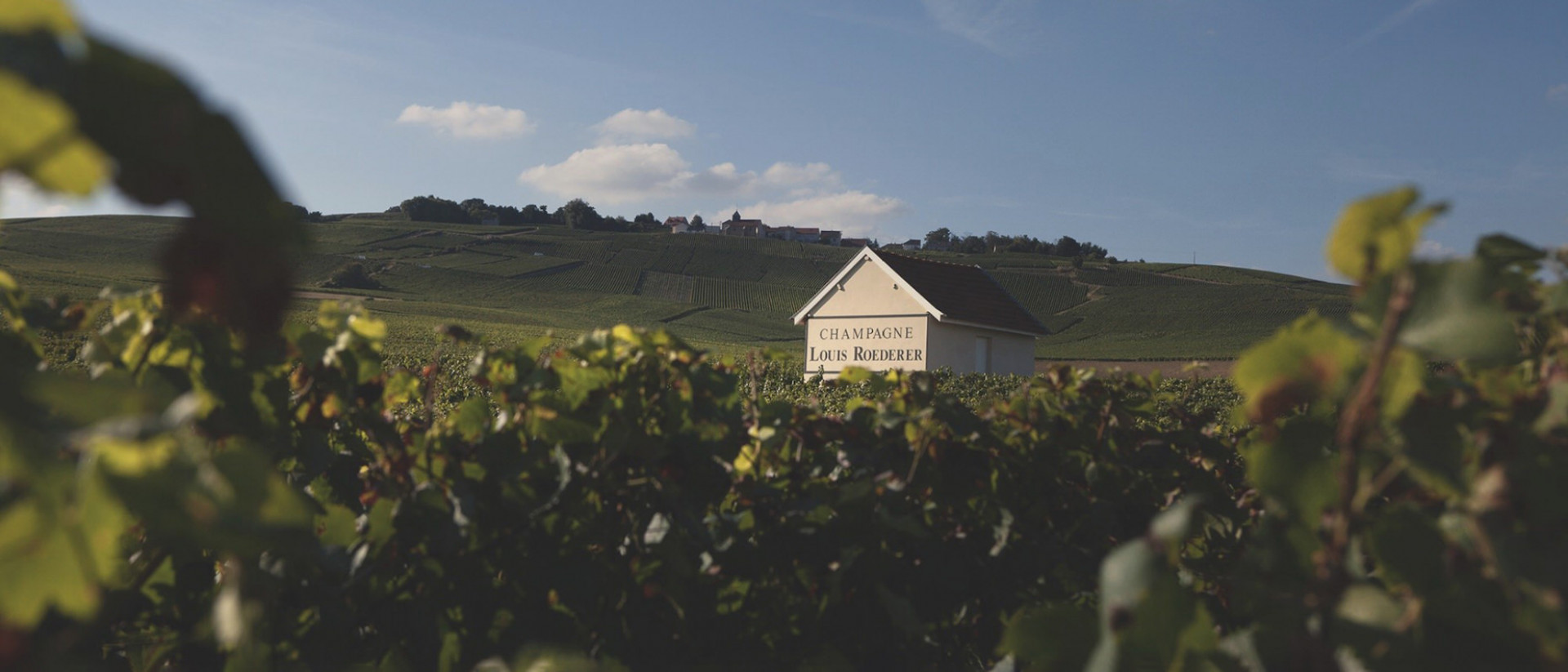 Louis Roederer