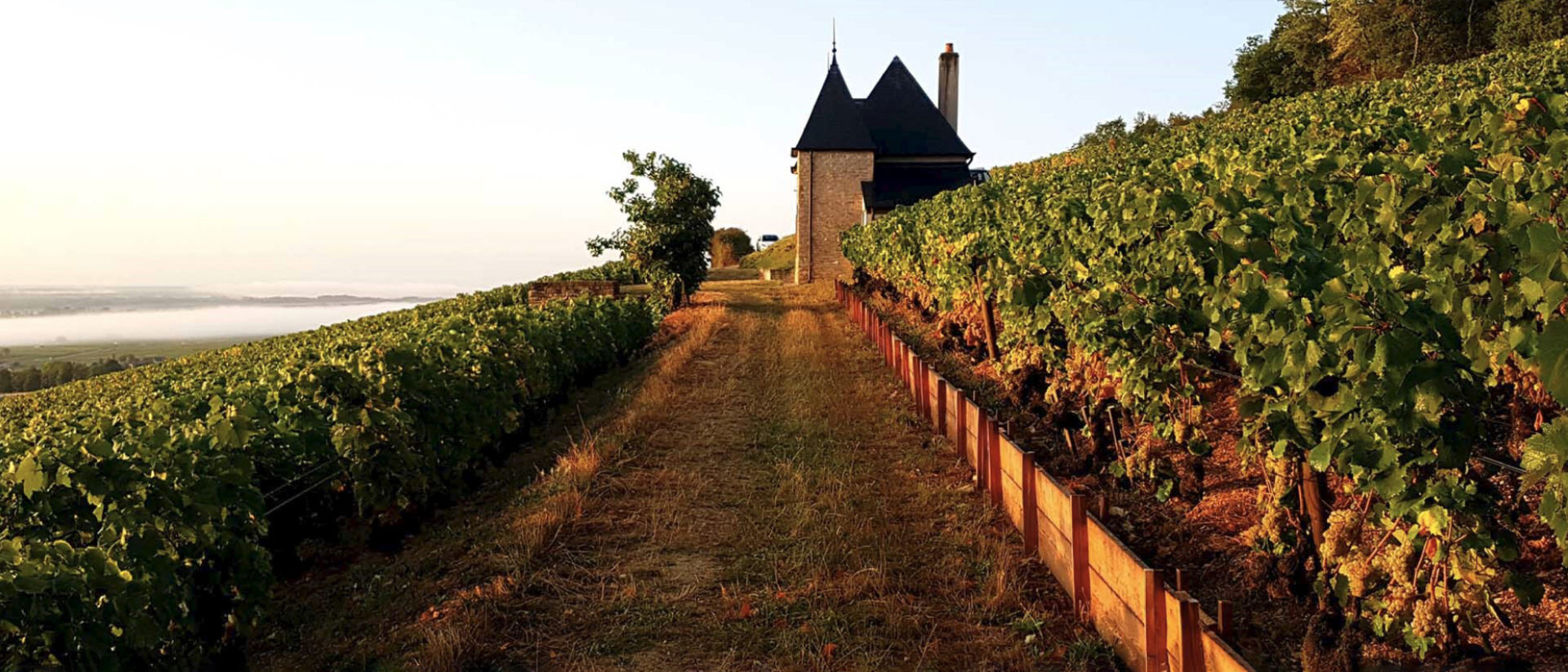 Ponsot