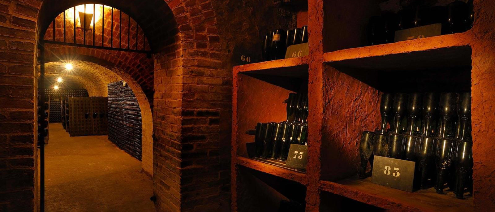 Salon Champagne Wine Academy Cult Wines