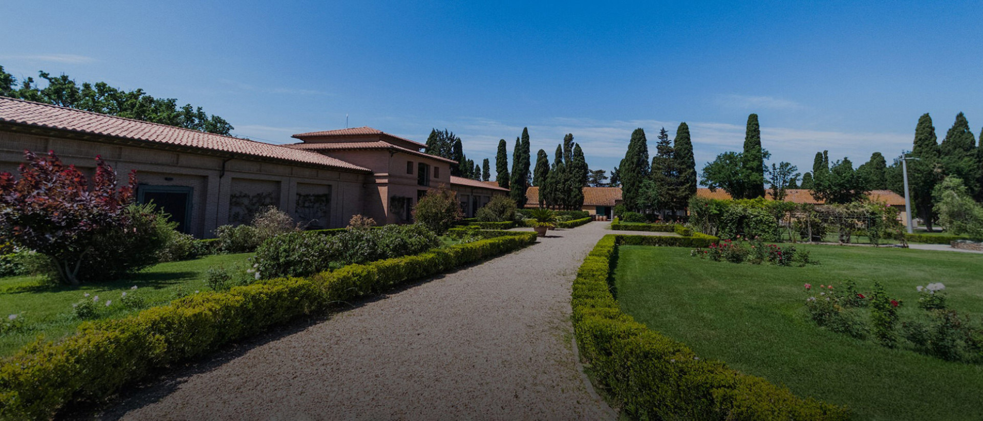 Tenuta San Guido