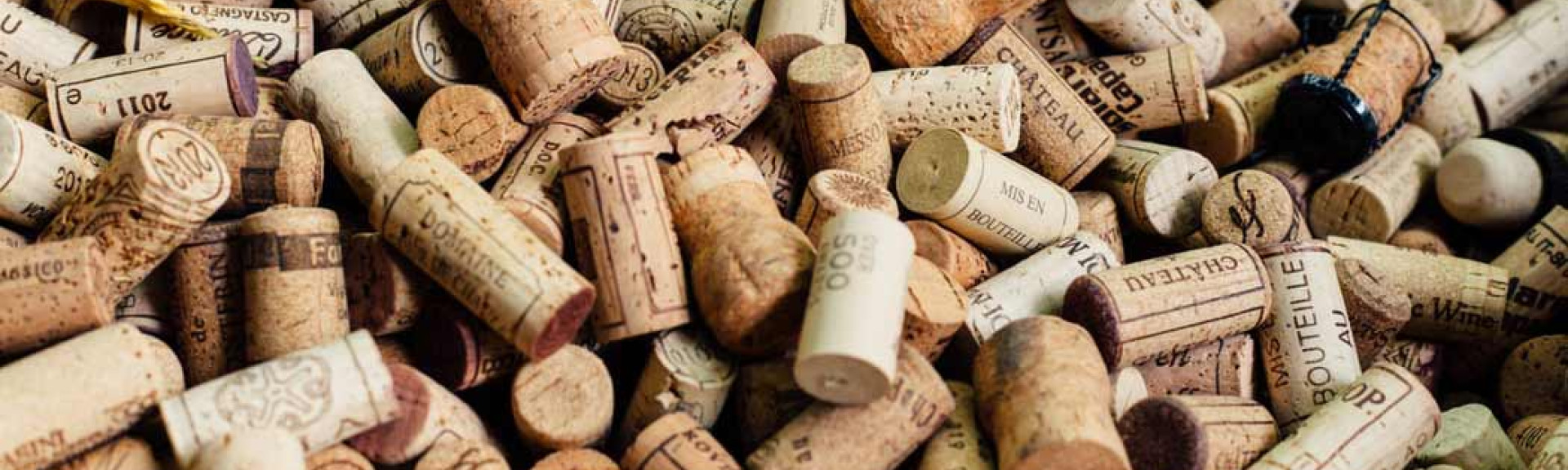 Wine News 005