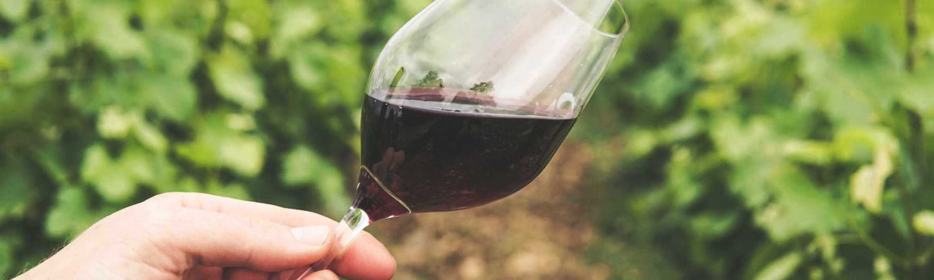 Wine News Jun2020 v2