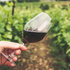 Wine News Jun2020