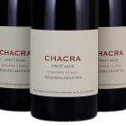Wine News v10