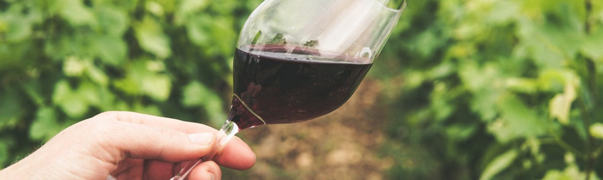 Wine variety alternatives