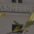 angelus blog thumb