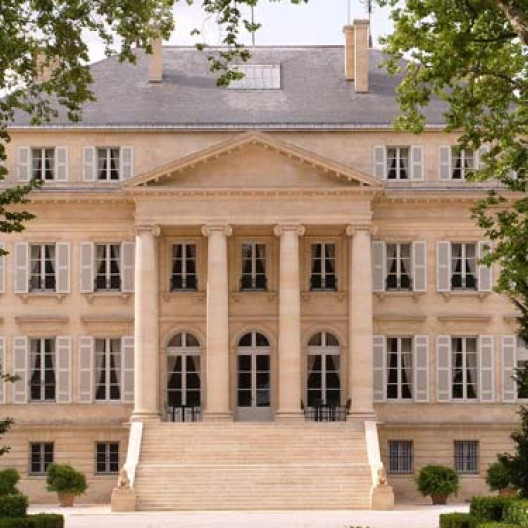 bdx01 tn