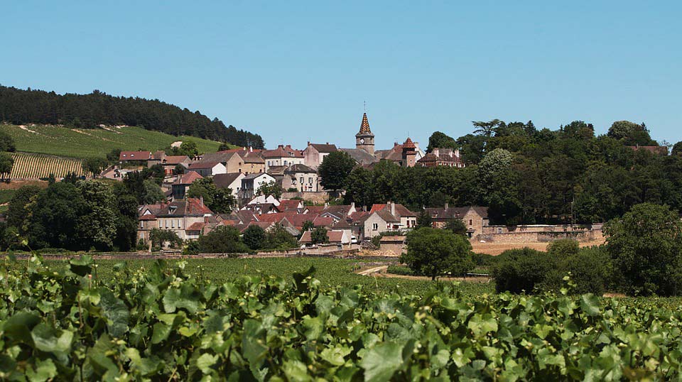 Burgundy’s Top 10 Wine Producers Cult Wines