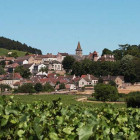 burgundy qinwa