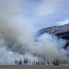 canon thumbnail wild fires wine