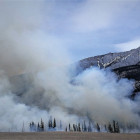 canon thumbnail wild fires wine