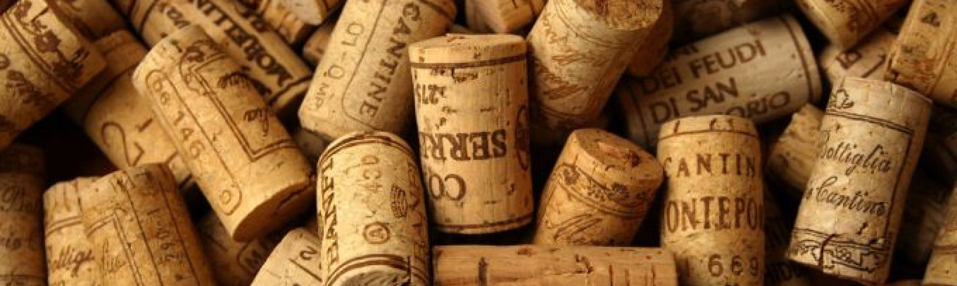 Opus One v.s. Dominus | Cult Wines