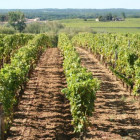 croppedimage680368 Bordeauxof2015 2 v2