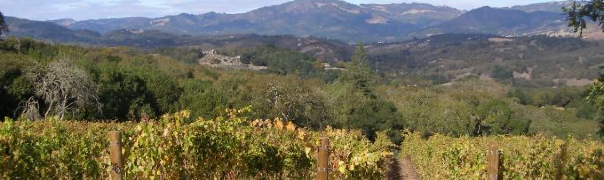 croppedimage680368 California v4