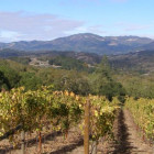 croppedimage680368 California v8