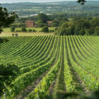 croppedimage680368 ChapelDown v2