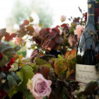 croppedimage680368 ClosDeGoisses v2