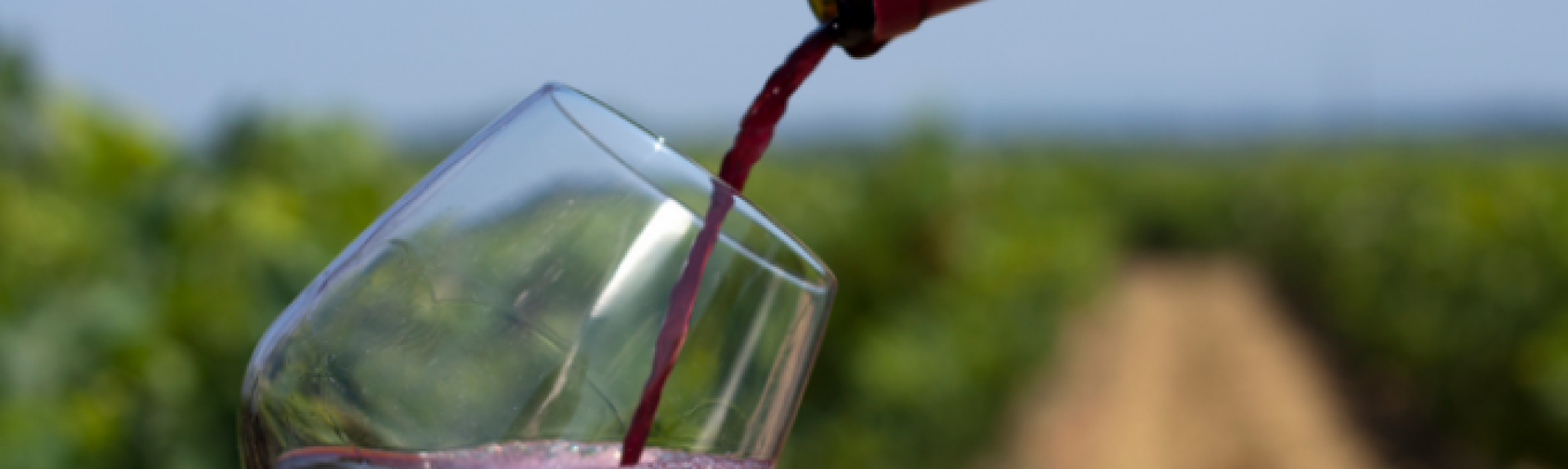 croppedimage680368 Glass of wine Wine Investment v2