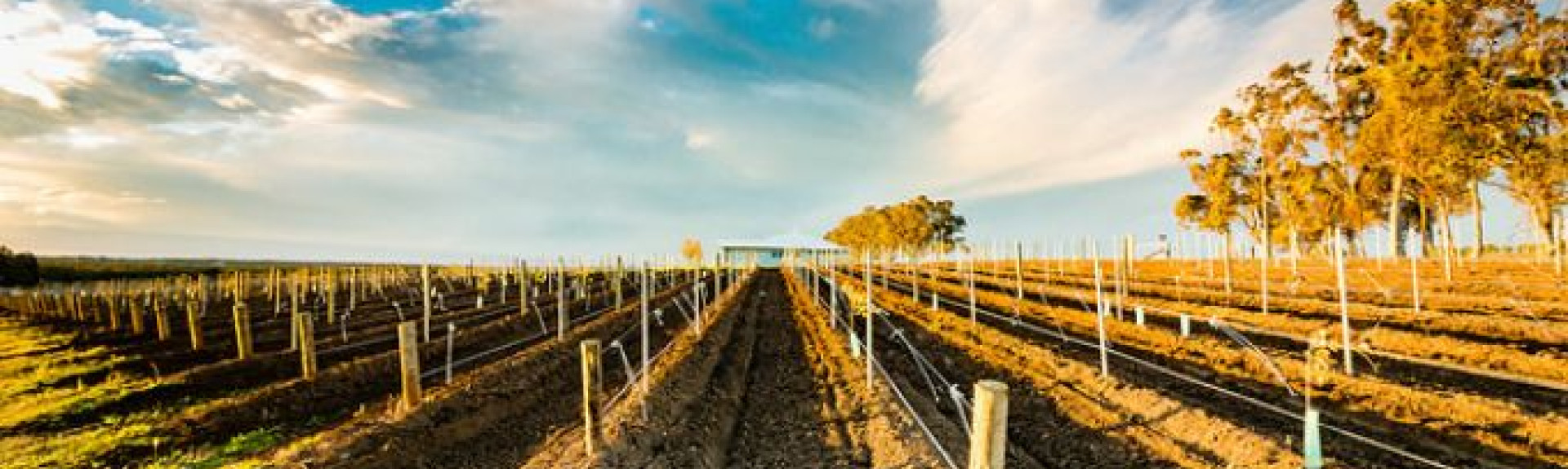 croppedimage680368 HunterValley v2