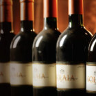 croppedimage680368 Solaia2015 v2