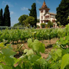 croppedimage680368 SpanishWine